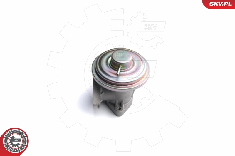 EGR Valve